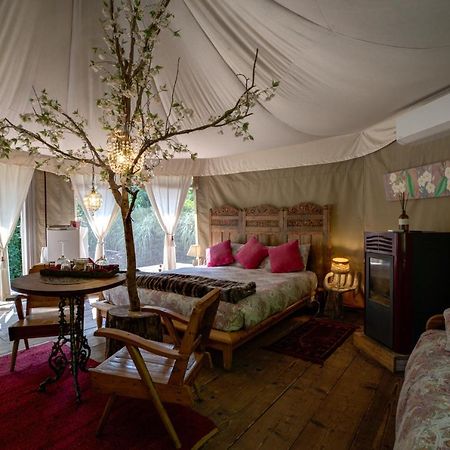 Glamping Canonici Di San Marco Mirano Exterior foto